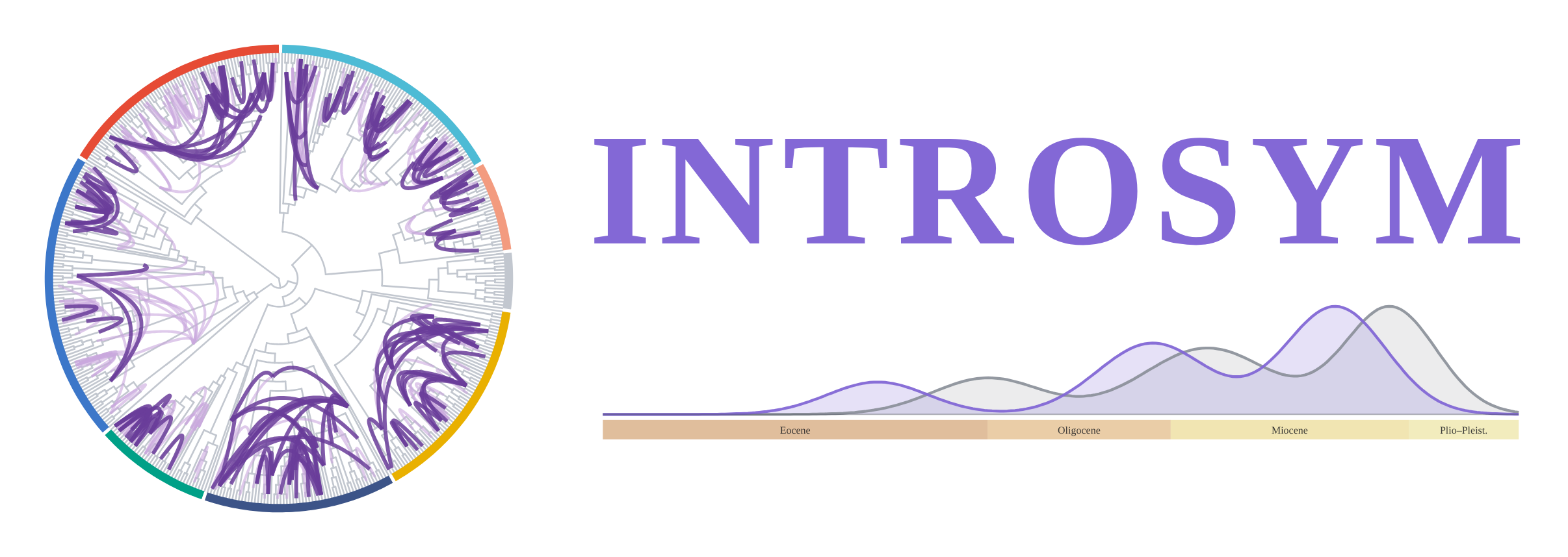 INTROSYM