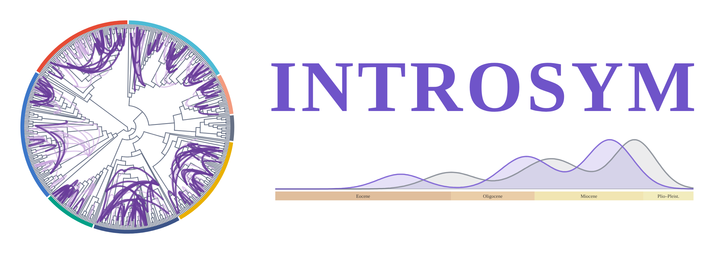 INTROSYM