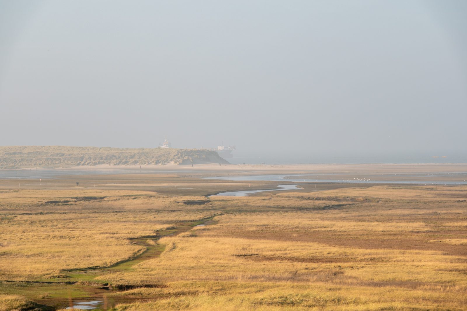Marisma y dunas de la costa (Texel)